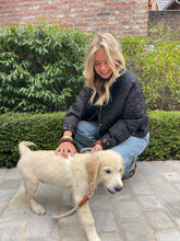 Load image into Gallery viewer, Jackline short jack